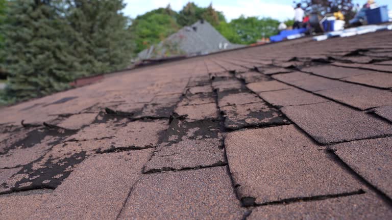 Best Roofing for New Construction  in Draper, UT